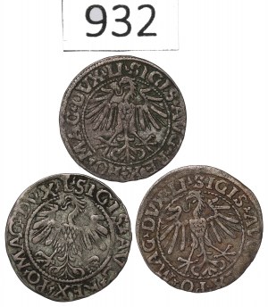 Sigismund II Augustus, Lot of halfgroats 1548-59