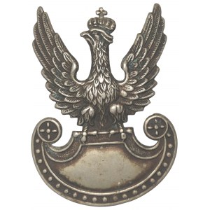 II RP, Orzeł wz.19