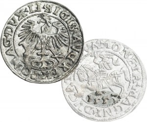 Sigismund II Augustus, half-grosz 1553, Vilnius, LI/LITVA - RARE