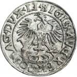 Sigismund II Augustus, half-grosz 1553, Vilnius, LI/LITVA - RARE