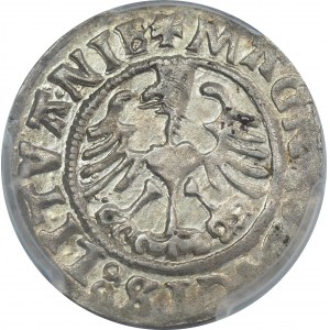 Sigismund I the Old, half-grosz 1525, Vilnius - EXCELLENT