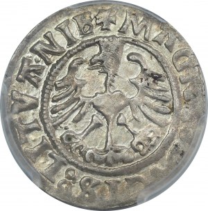 Sigismund I the Old, half-grosz 1525, Vilnius - EXCELLENT