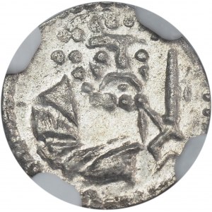 Silesia, Duchy of Legnica-Brzeg, Heller Legnica - NGC MS63