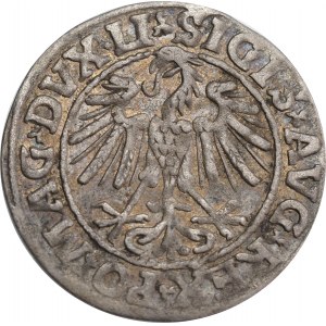Sigismund II Augustus, half-grosz 1547, Vilnius, LI/LITVA
