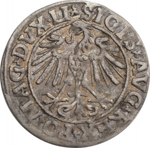 Sigismund II Augustus, half-grosz 1547, Vilnius, LI/LITVA