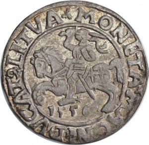 Sigismund II Augustus, half-grosz 1556, Vilnius - L/LITVA