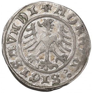 Sigismund I the Old, Halfgroat 1510, Cracow