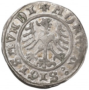 Sigismund I the Old, Halfgroat 1510, Cracow