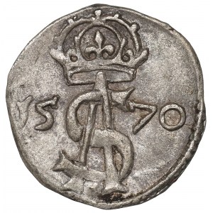 Zygmunt II August, Dwudenar 1570, Wilno