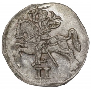 Zygmunt II August, Dwudenar 1570, Wilno