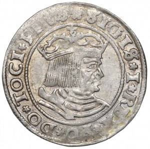 Sigismund I the Old, Groschen for Prussia 1529, Thorn