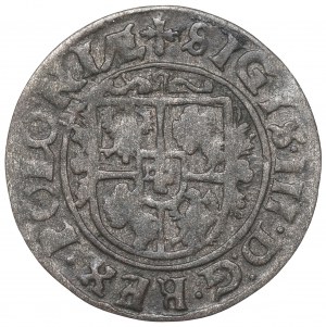Sigismund III, Solidus 1625, Bromberg
