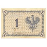 II Republic of Poland, 1 zloty 1919 - PMG 63