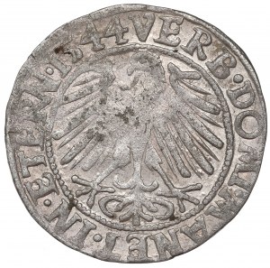 Silesia, Duchy of Legnicko-Brzesko-Wołowskie, Grosz 1544