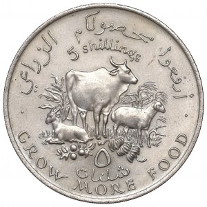 Somalia, 5 shillings 1970