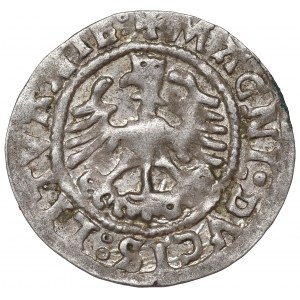 Sigismund I the Old, Halfgroat 1524, Vilnius