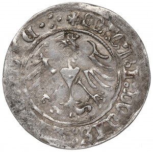 Sigismund I the Old, Halfgroat 1513, Vilnius