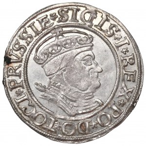 Sigismund I the Old, Groschen for Prussia 1534, Thorn