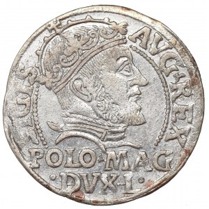 Sigismund II Augustus, Groschen 1547