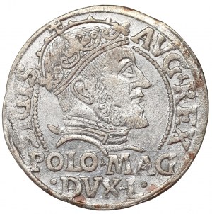 Sigismund II Augustus, Groschen 1547