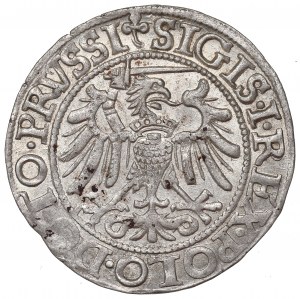 Sigismund I the Old, 1540 penny, Elblag - PRVSSI