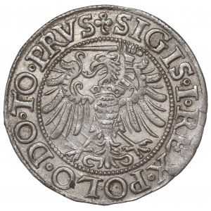 Sigismund I The Old, Groschen 1539, Elbing