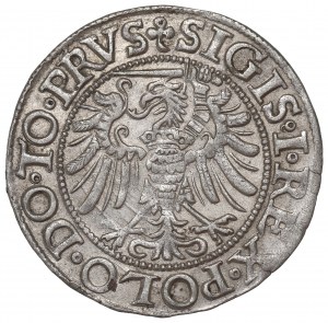 Sigismund I The Old, Groschen 1539, Elbing