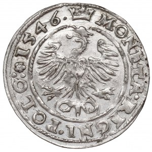 Sigismund I the Old, Groschen 1546, Cracow