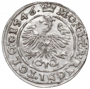 Sigismund I the Old, Groschen 1546, Cracow