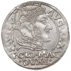 Sigismund II Augustus, Grossus 1548, Vilnius