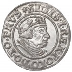 Sigismund I the Old, Groschen 1539, Danzig
