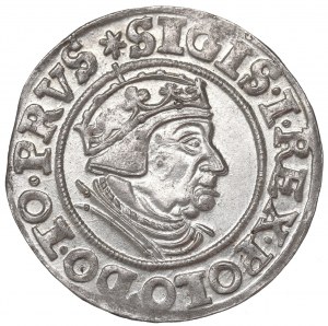 Sigismund I the Old, Groschen 1539, Danzig