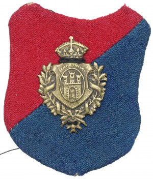 Lviv badge with shield
