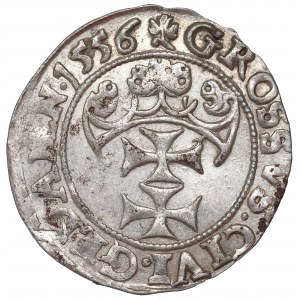 Sigismund II Augustus, Groschen 1556, Danzig