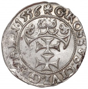Sigismund II Augustus, Groschen 1556, Danzig