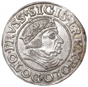Sigismund I the Old, Groschen 1538, Danzig