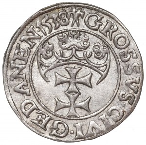 Sigismund I the Old, Groschen 1538, Danzig