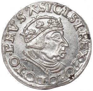 Sigismund I the Old, 3 groschen 1539, Danzig