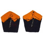 PSZnZ, Graduated officer patches set