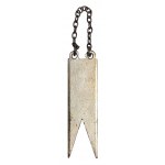 Poland, Pennant of the 4th Regiment of Zaniemenski Lancers