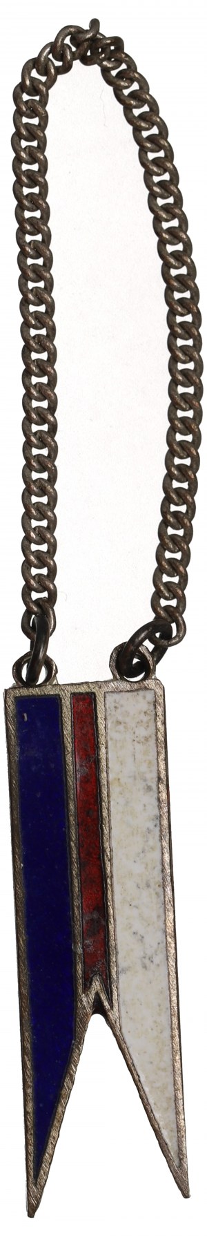 Poland, Pennant of the 16th Regiment of Lancers of Greater Poland(?)