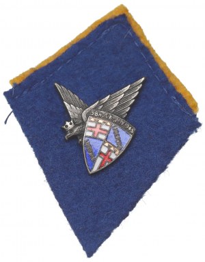 PSZnZ, Patka with insignia of the 9th Bologna Carpathian Rifle Baon
