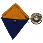 PSZnZ, Patka with insignia of the 9th Bologna Carpathian Rifle Baon
