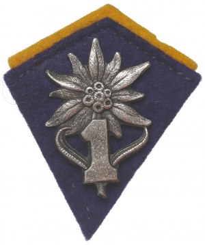 PSZnZ, Patka 1st Carpathian Rifle Baon