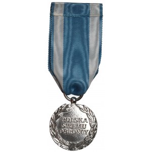 PSZnZ, Air Medal - Bialkiewicz(?).