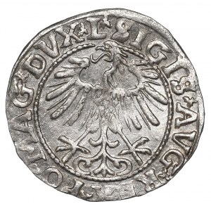 Sigismund II August, Half-groat 1557, Vilnius - L/LITVA