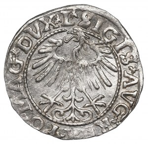 Sigismund II August, Half-groat 1557, Vilnius - L/LITVA