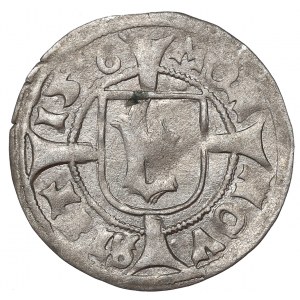 Pommern, Wit 1516, Stettin