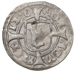 Pommern, Wit 1516, Stettin