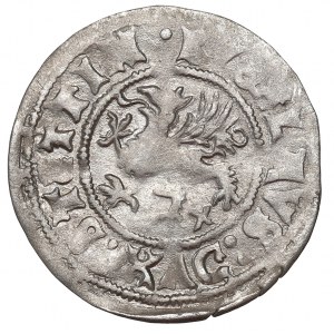 Pommern, Wit 1516, Stettin
